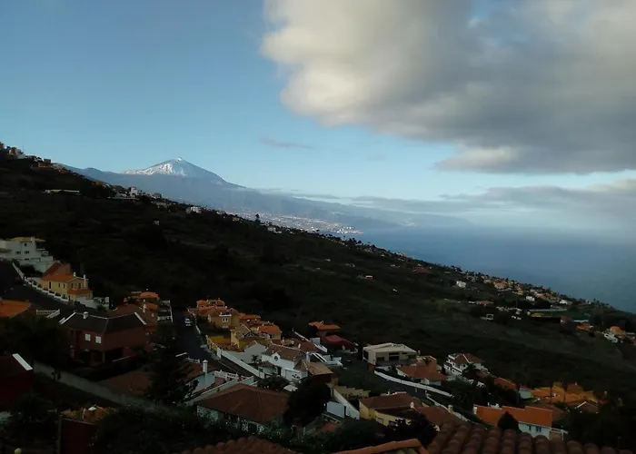 Drago De Starapstenerife Sauzal