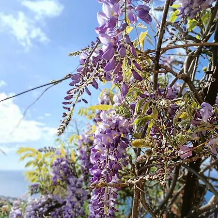 Appartement Drago De Starapstenerife