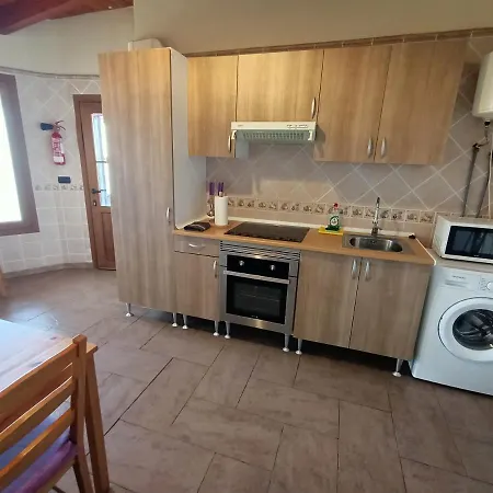 Drago De Starapstenerife