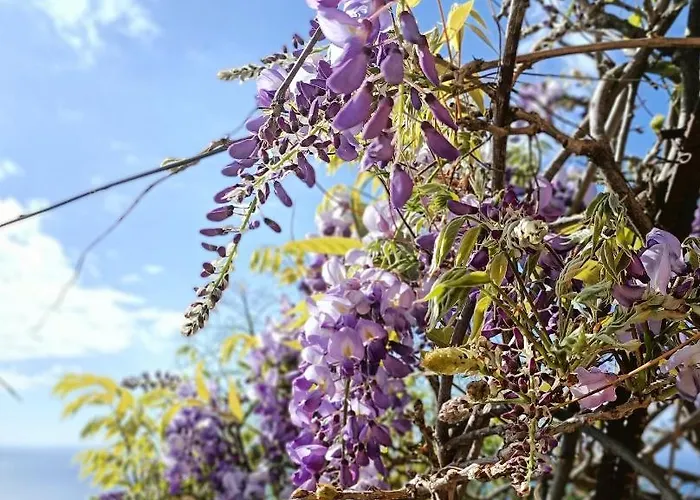 Appartamento Drago De Starapstenerife
