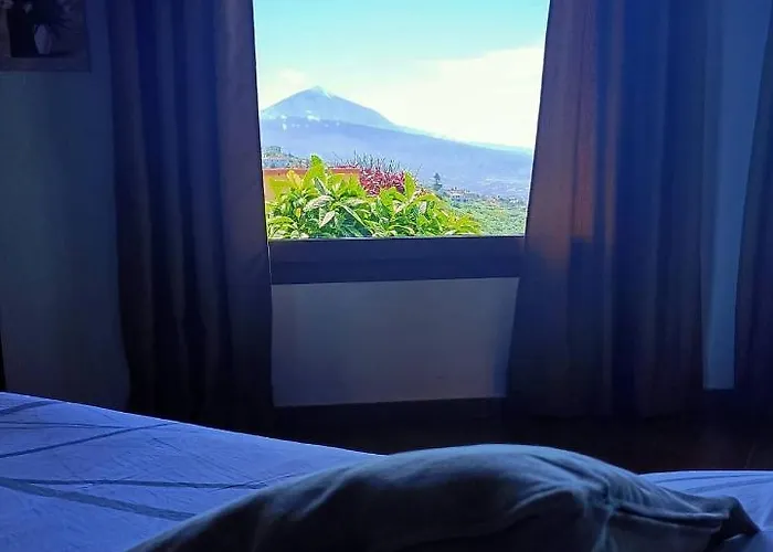 Drago De Starapstenerife